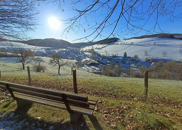 Freeride - 7min To Greenhill, Ps4, Bbq, Terrace, Ssc Schmallenberg